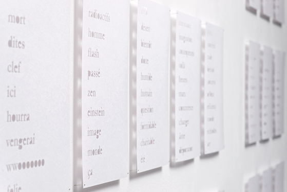 vue de l exposition Un bruit blanc - cl : Aur&eacute;lien Mole - &copy; Frac des Pays de la Loire